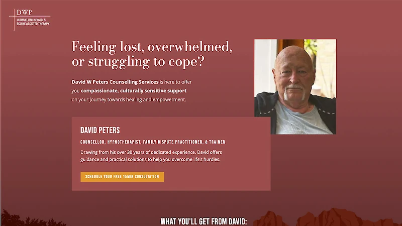 David W Peters Consulting